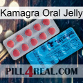 Kamagra Oral Jelly new14